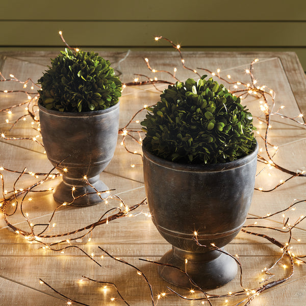 Napa Home & Garden Boxwood Ball
