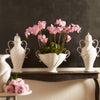 Napa Home & Garden Phalaenopsis Orchid Drop-In