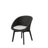 Cane-line Peacock Dining Chair