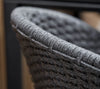 Cane-line Peacock Dining Chair