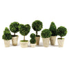 Napa Home & Garden Boxwood Topiaries - Set of 8