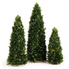 Napa Home & Garden Boxwood Mini Trees - Set of 3