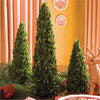 Napa Home & Garden Boxwood Mini Trees - Set of 3