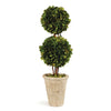 Napa Home & Garden Boxwood Double Sphere Topiary - 20"