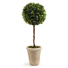 Napa Home & Garden Boxwood Single Sphere Topiary - 23.25”