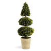 Napa Home & Garden Boxwood Double Sphere & Cone Topiary