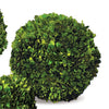 Napa Home & Garden Boxwood Ball
