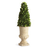 Napa Home & Garden Boxwood Cone Topiary in Urn