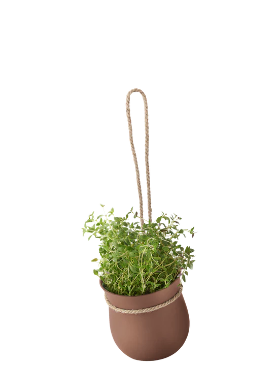 Rig-Tig Grow-It Herb Pot