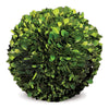 Napa Home & Garden Boxwood Ball