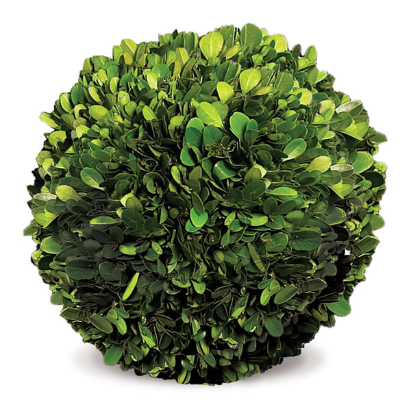 Napa Home & Garden Boxwood Ball