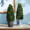 Napa Home & Garden Boxwood Cone Topiary Drop-in