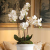 Napa Home & Garden Phalaenopsis Orchid Drop-In