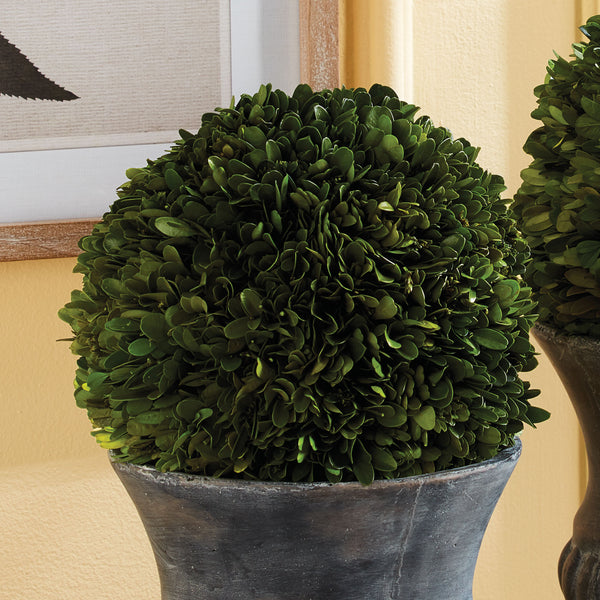 Napa Home & Garden Boxwood Ball
