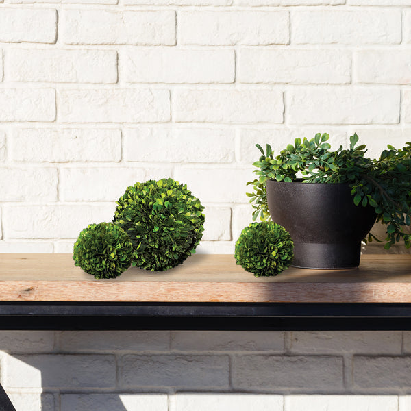 Napa Home & Garden Boxwood Ball