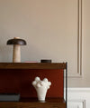 Audo Zet Back Panel