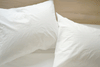 Area Anton French Back Pillow Case White Standard 