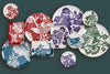 Thomas Paul Aviary Dinner Plate - Set of 4