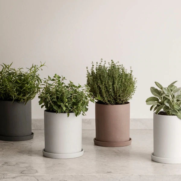 Blomus Nona Porcelain Herb Pot