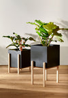 Design House Stockholm Botanic Pot