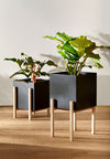 Design House Stockholm Botanic Pedestal Pot