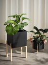 Design House Stockholm Botanic Pedestal Pot