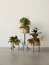Audo Umanoff Planter - 13 inch