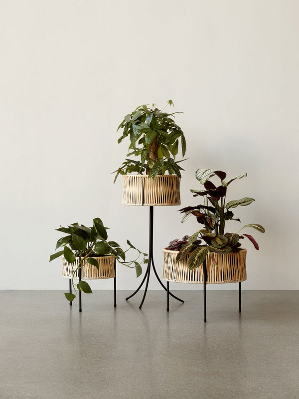 Audo Umanoff Planter - 13 inch