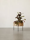 Audo Umanoff Planter - 13 inch
