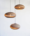 Graypants Disc Pendant 