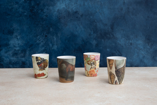 Siren Song Conch Tumblers - Set of 4