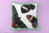 Thomas Paul Metamorphosis Pillow - 22 inchx22 inch