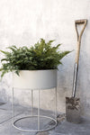 Ferm Living Plant Box Round 