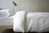 Area Simone Euro Pillow Cover White Euro 