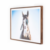 Four Hands War Horse Print