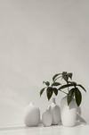 Blomus Ceola Ceramic Vase - 4 inchx8 inch