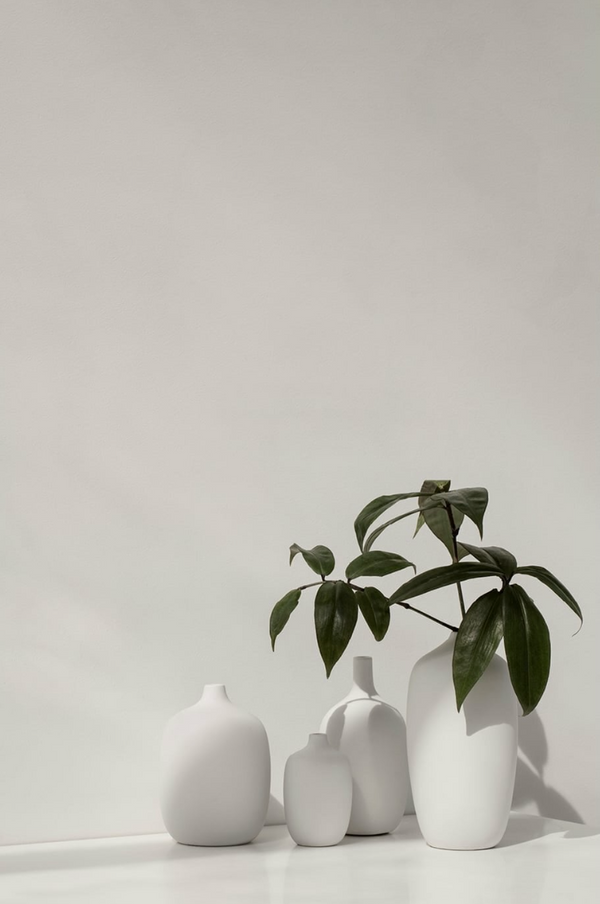 Blomus Ceola Ceramic Vase - 4 inchx8 inch