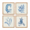 Napa Home & Garden Framed Coral Watercolor Prints - Set of 4