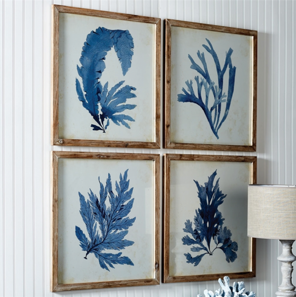 Napa Home & Garden Framed Coral Watercolor Prints - Set of 4