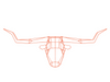 Bend Longhorn