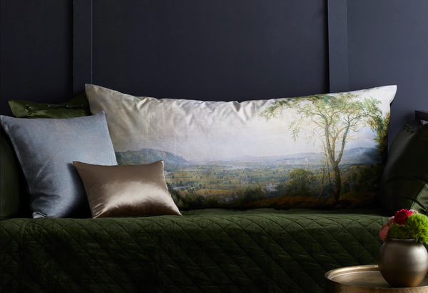 Ann Gish Landscape Valley Of Wyoming Pillow