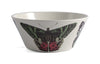 Thomas Paul Metamorphasis Small Bowl Set of 4 