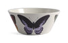 Thomas Paul Metamorphasis Small Bowl Set of 4 