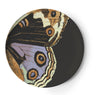 Thomas Paul Metamorphasis Dinner Plate Set of 4 