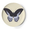 Thomas Paul Metamorphosis Coaster - Set of 4