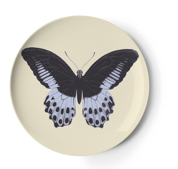 Thomas Paul Metamorphosis Coaster - Set of 4