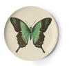 Thomas Paul Metamorphosis Coaster - Set of 4