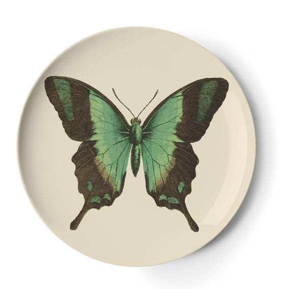 Thomas Paul Metamorphosis Coaster - Set of 4