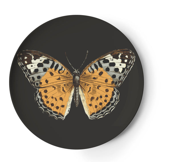 Thomas Paul Metamorphosis Coaster - Set of 4