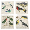 Siren Song Ornithology Cocktail Napkins - Set of 4